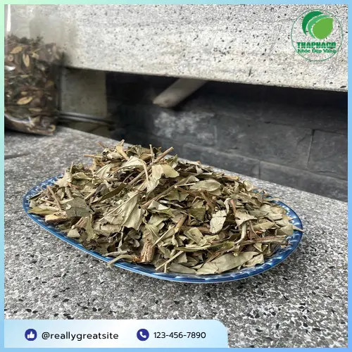 Khổ sâm chất lượng cao THAPHACO