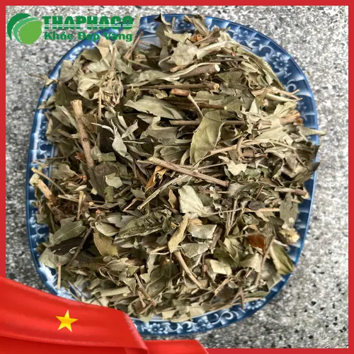 Khổ Sâm THAPHACO ưu đãi giá sỉ 120.000đ và freeship