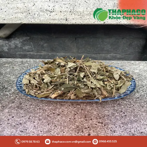 Khổ Sâm được sấy khô tự nhiên, giữ nguyên dược tính