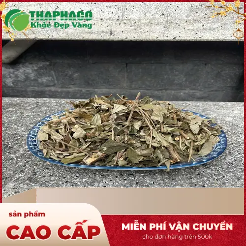 Khổ sâm THAPHACO chất lượng cao