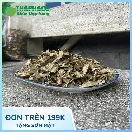 Khổ sâm sấy khô THAPHACO