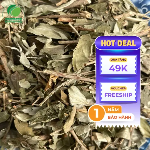 Gói Khổ Sâm chất lượng từ Trà Hoa Sấy Khô THAPHACO