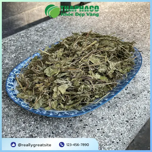 Lá bạc hà tươi nguyên chất từ Trà Hoa Sấy Khô THAPHACO