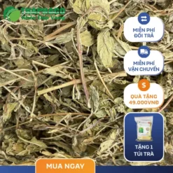 Cửa hàng bán sỉ lá bạc hà khô tại TP.HCM