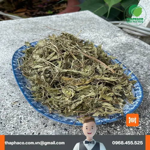 Lá bạc hà sấy khô THAPHACO - Vị cứu tinh cho hơi thở thơm mát
