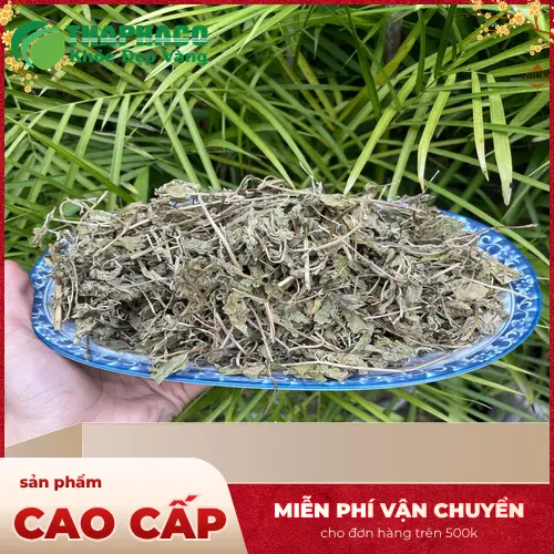Trà lá bạc hà giúp trị cảm cúm hiệu quả