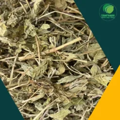 Địa Chỉ Bán Lá Bạc Hà Khô Tại TP.HCM Chất Lượng THAPHACO