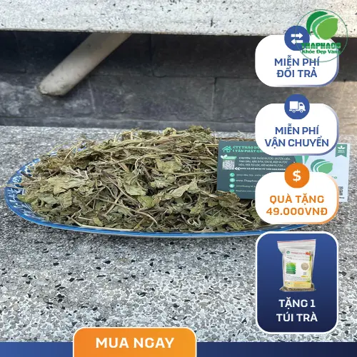 Hình ảnh lá bạc hà khô tự nhiên và chất lượng