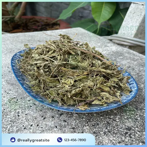 Lá bạc hà khô THAPHACO được sấy khô tự nhiên, giữ trọn dưỡng chất