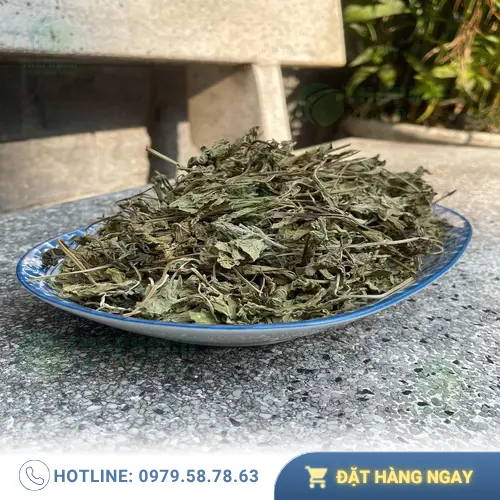 Quy trình sấy khô lá bạc hà hiện đại tại THAPHACO đảm bảo giữ nguyên dưỡng chất và hương vị