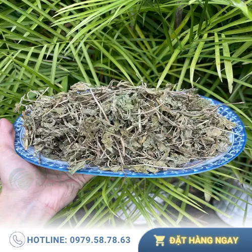 Lá bạc hà khô đóng gói tại THAPHACO