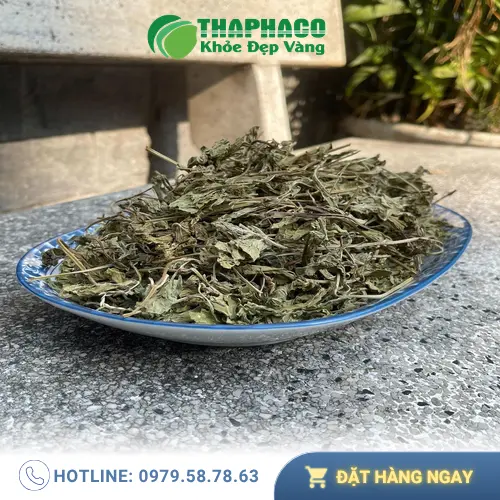 Cách sử dụng lá bạc hà khô hiệu quả