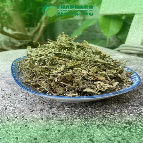 Quy trình sản xuất lá bạc hà sấy khô tại THAPHACO đảm bảo chất lượng