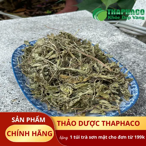 Quy trình đóng gói lá bạc hà THAPHACO chuyên nghiệp