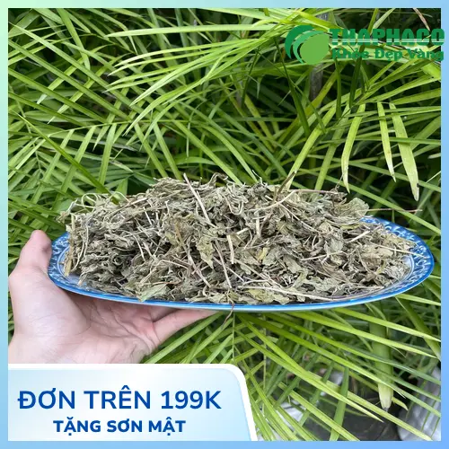 Bảo quản lá bạc hà khô đúng cách cho kinh doanh