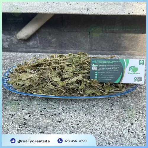 Mua lá bạc hà sấy khô chất lượng tại Trà Hoa Sấy Khô THAPHACO