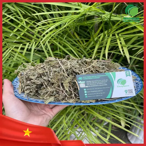 Lá bạc hà kết hợp cùng các loại thảo mộc khác