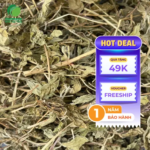 Nguyên liệu lá bạc hà khô chất lượng từ THAPHACO