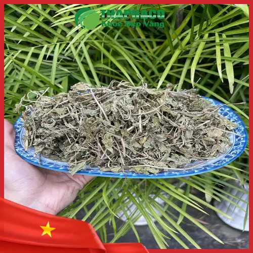 Lá bạc hà khô THAPHACO - Nguyên liệu tuyệt vời cho trà và ẩm thực