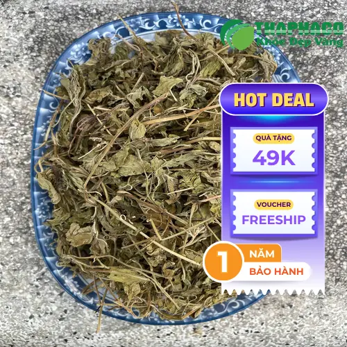 Hướng dẫn bảo quản lá bạc hà khô THAPHACO