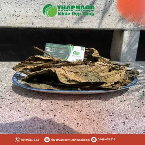 Lá khôi tía sấy khô dùng để pha trà