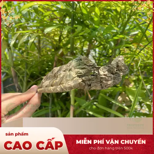 Địa chỉ mua lá khôi tía tại HCM