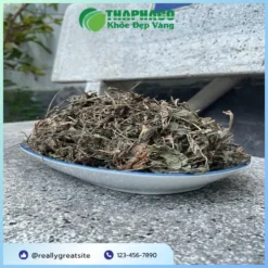 1kg Mã Đề Sấy Khô Giá Bao Nhiêu Tiền? Báo Giá Từ THAPHACO