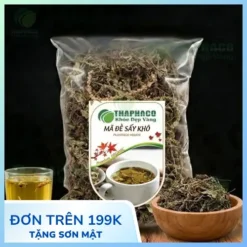 THAPHACO: Chỗ Bán Sỉ Cây Mã Đề Khô Chất Lượng Cao Tại TP.HCM