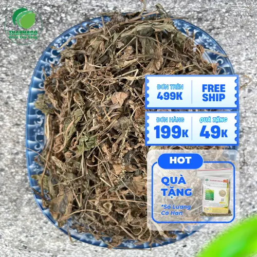 Ưu điểm nổi bật của mã đề khô THAPHACO: Dược tính cao, hương vị tự nhiên và độ ẩm lý tưởng.