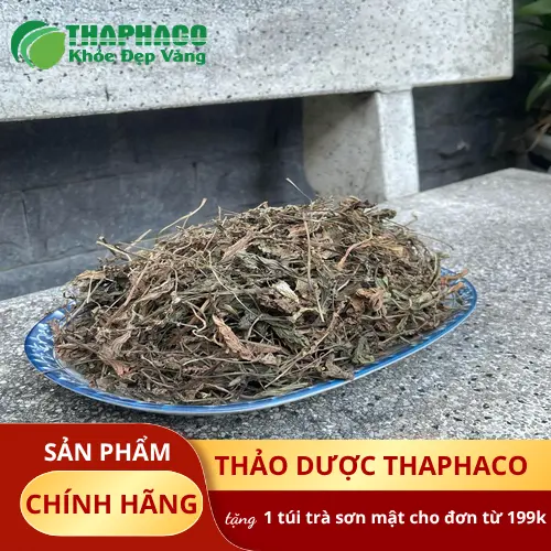 Lá mã đề sấy khô chất lượng cao