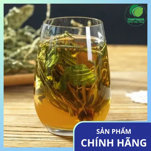 Mã đề khô THAPHACO - Nguyên liệu đa dạng để pha chế trà thảo mộc và kết hợp cùng các loại thảo dược khác.
