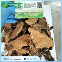 Chỗ Nào Bán Móp Gai Sấy Khô Tại TP.HCM Chất Lượng Cao?
