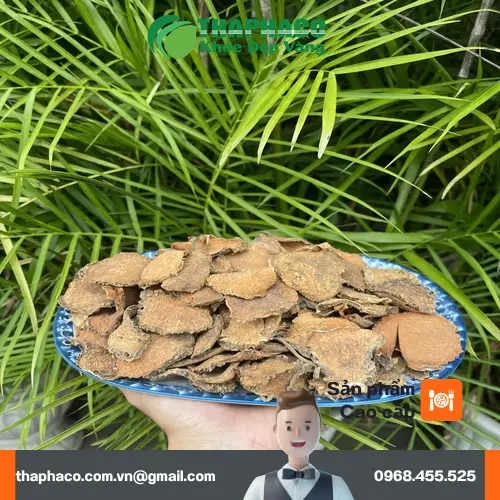 Quy trình chế biến móp gai sấy khô THAPHACO