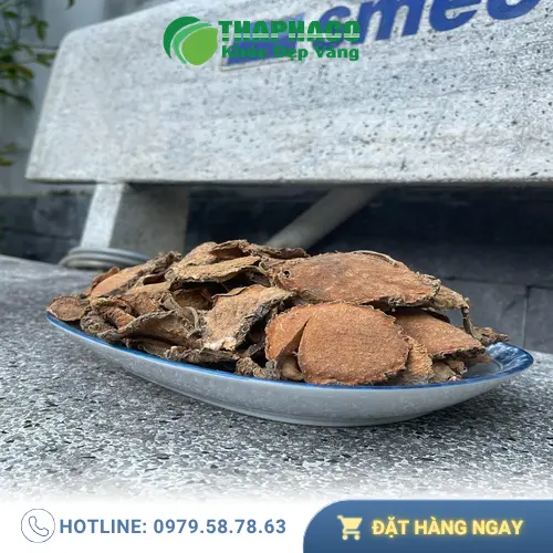 Móp gai sấy khô THAPHACO đã được kiểm định an toàn