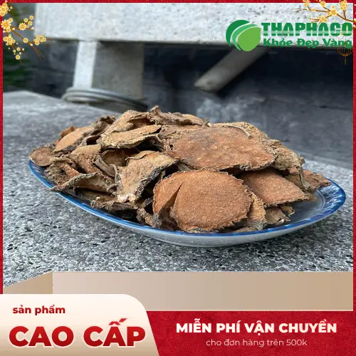 Móp gai sấy khô THAPHACO - Đóng gói chuyên nghiệp
