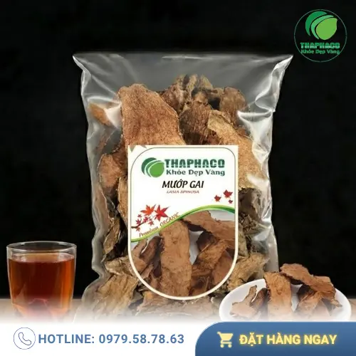 Móp gai sấy khô được đóng gói cẩn thận tại THAPHACO