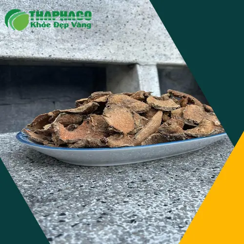 Đại lý phân phối móp gai sỉ lẻ tại TP.HCM