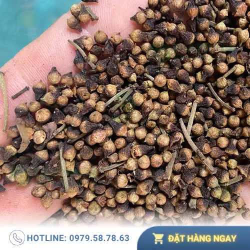 Nụ vối sấy khô tự nhiên từ THAPHACO