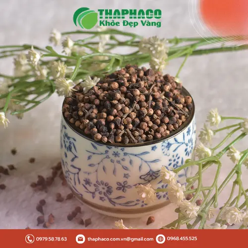 Chính sách giá sỉ ưu đãi nụ vối sấy khô THAPHACO