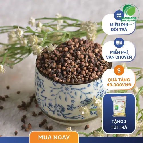 Pha trà nụ vối đơn giản, tiện lợi mỗi ngày