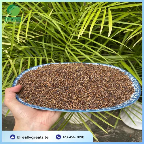 So sánh chất lượng nụ vối sấy khô THAPHACO với thị trường