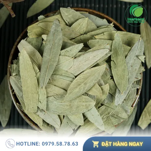 Lá phan tả diệp chất lượng cao tại TP.HCM