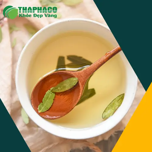 Cách dùng phan tả diệp hiệu quả tại nhà
