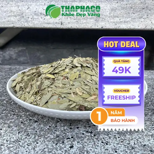 Địa chỉ mua phan tả diệp uy tín tại HCM