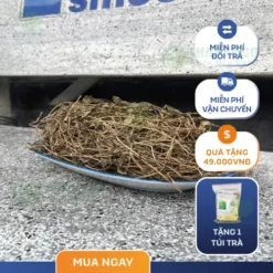 Giá 1kg Cây Sài Đất Sấy Khô? Khám Phá Giá Trị Tại THAPHACO