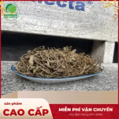 1kg Sài Đất Khô Giá Bao Nhiêu? Khám Phá Giá Trị Tại THAPHACO