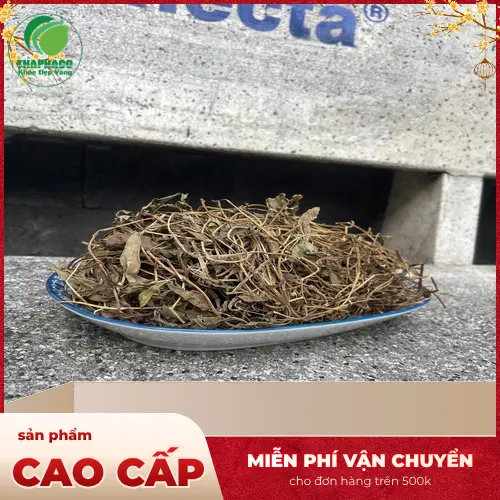 Sài đất khô THAPHACO chất lượng cao