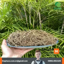 1kg Sài Đất Khô Giá Bao Nhiêu? Báo Giá Chuẩn Từ THAPHACO