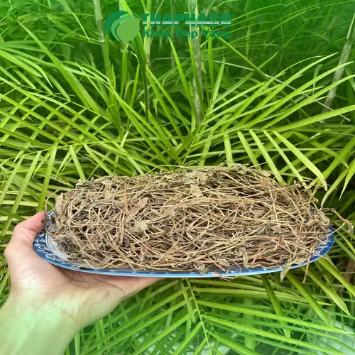 Hình ảnh lá và hoa sài đất đã được sấy khô tỉ mỉ