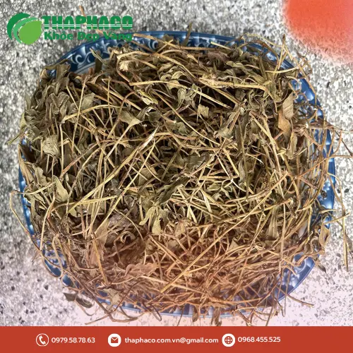 Giá 1kg sài đất khô tại THAPHACO